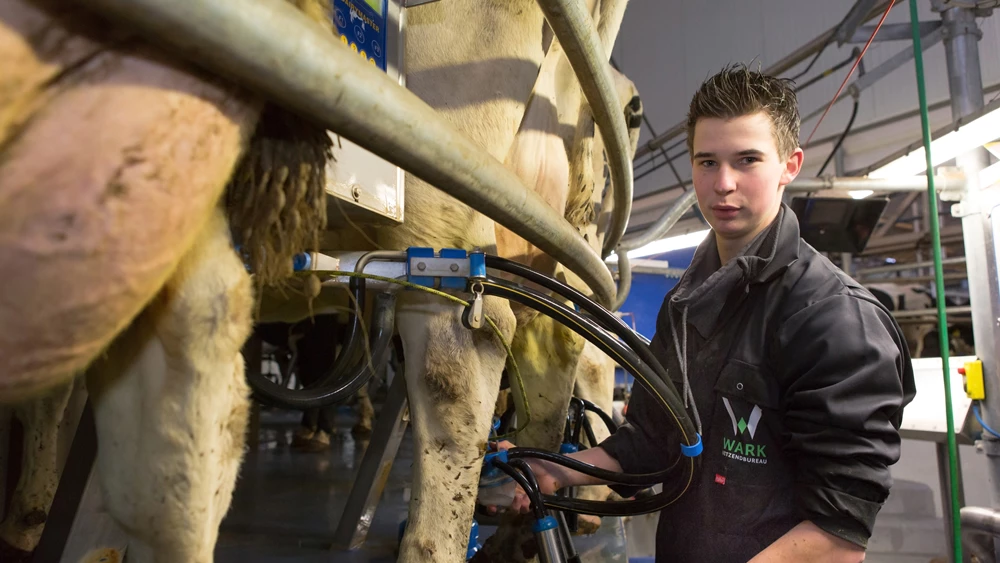 Wark Uitzendbureau Werken Leren